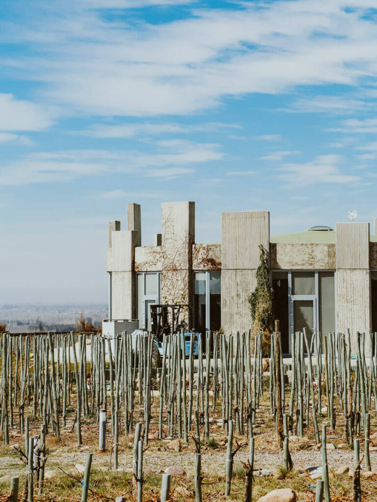 A stone and glass circular building surrounded by the vines of the best wineries in Mendoza