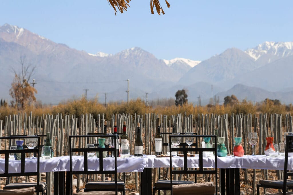 Wine bottles and glasses on a white tableclothed table in front of a vineyard in the mountains