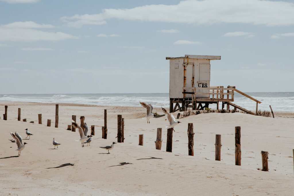 Discovering the Best Beaches in Buenos Aires: Your Ultimate Guide