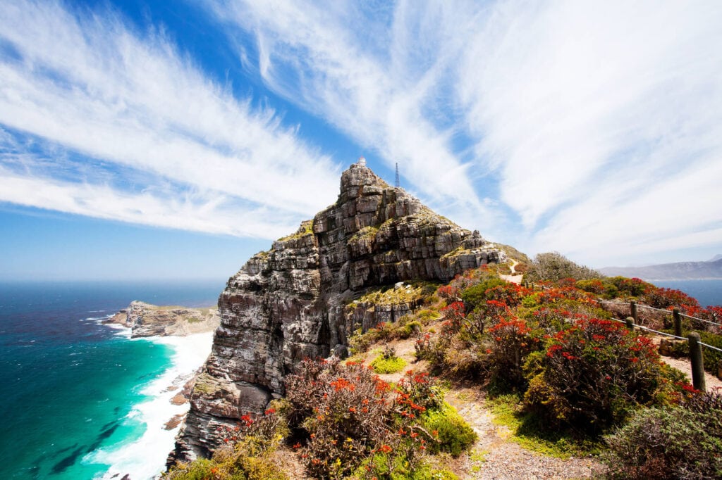 A rocky cliff with red flowers overlooks the ocean below