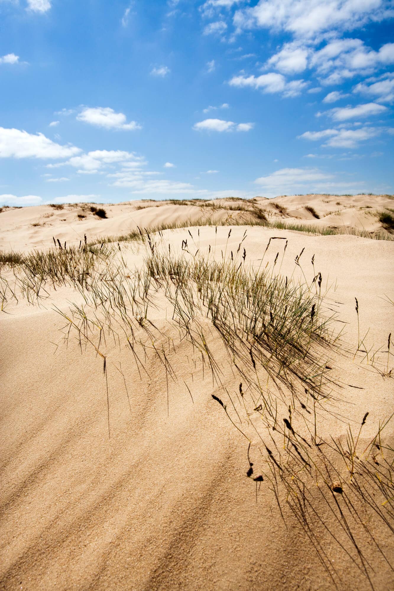 A large sand dune with grass growing in patches and a bright blue sky