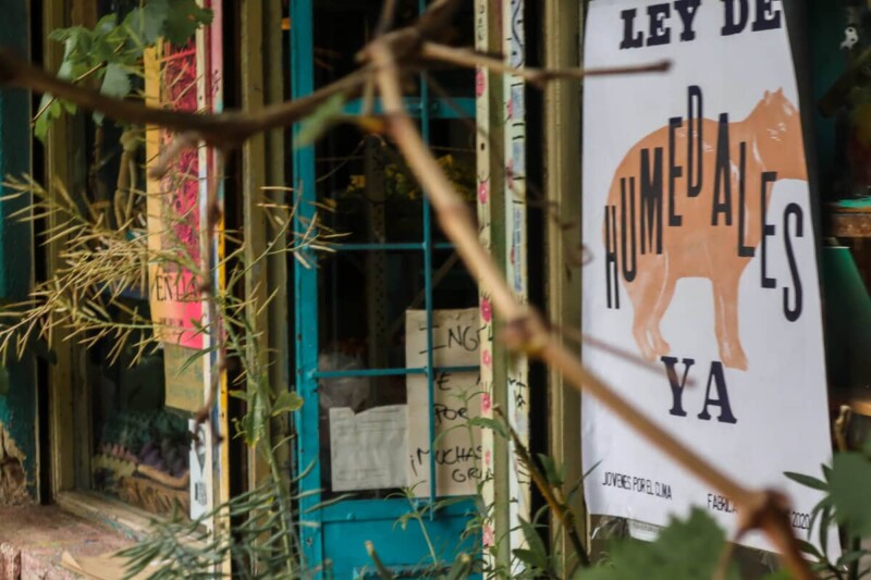 Windows and a teal door covered in posters behind ivy