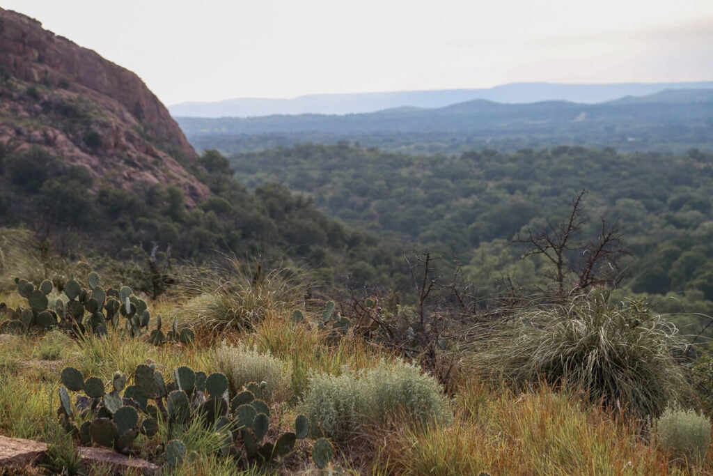 Rolling green hills with cactus and dry brush in the Texas Hill Country