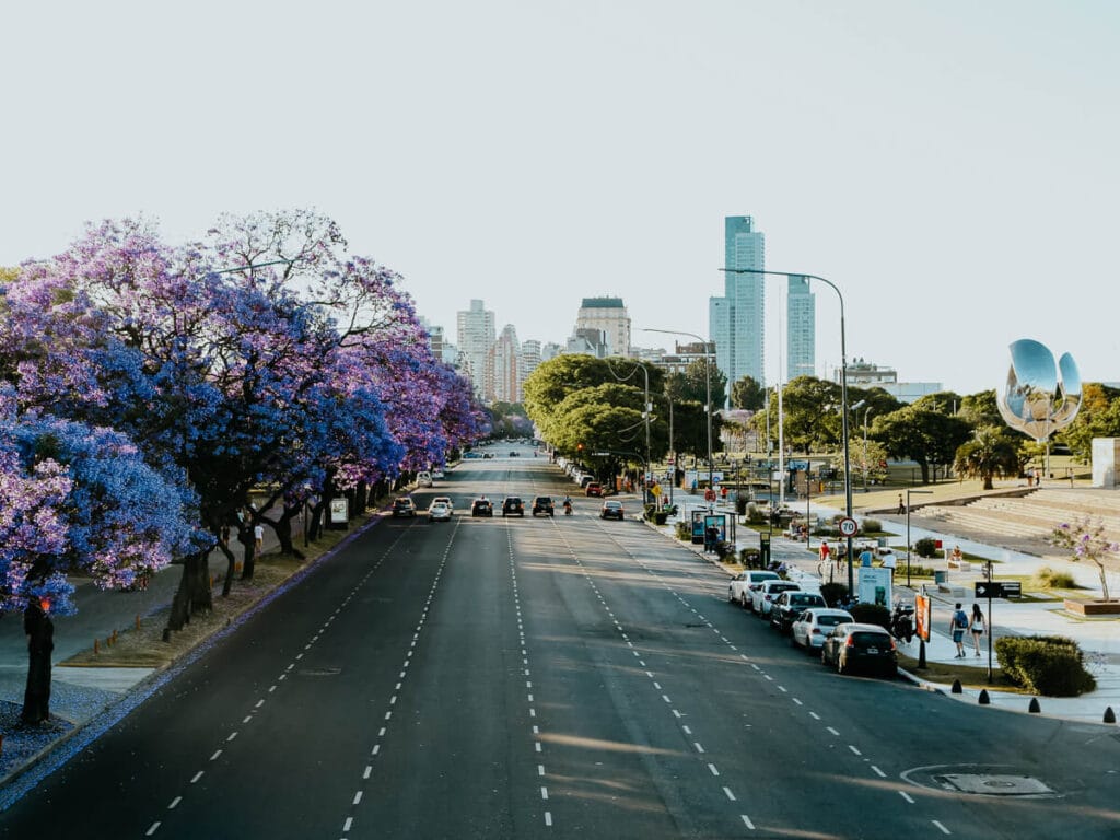 A 6 lane avenue with no cars weaves between jacaranda trees in bloom