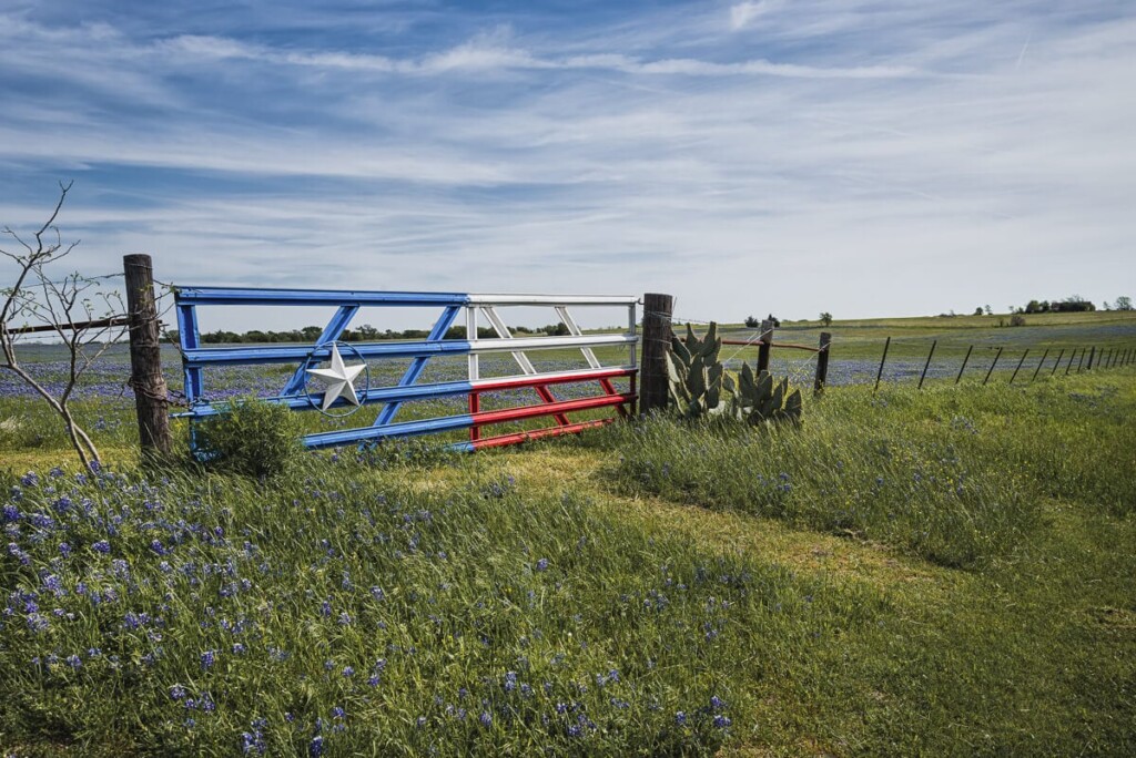 Five positively useful Texan gift ideas – Texas Farm Bureau – Table Top