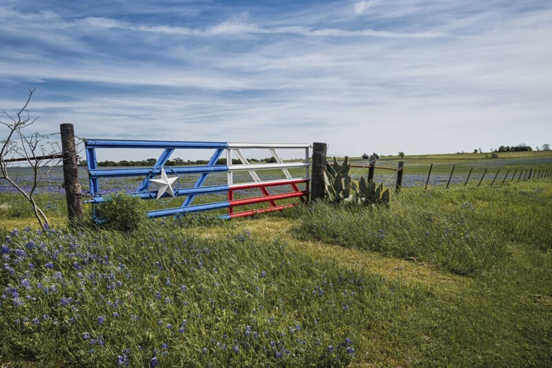 A texas flag painted on a gate in a green pasture