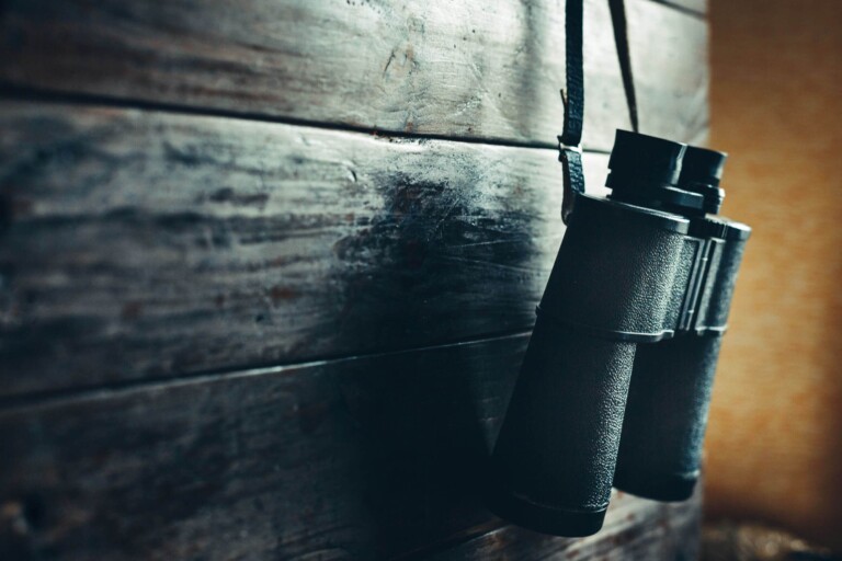 A pair of binoculars hanging against dark wood