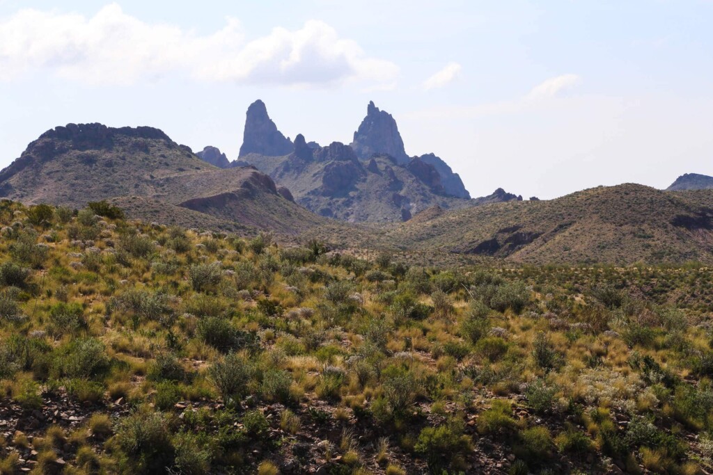 Mountains in the desert