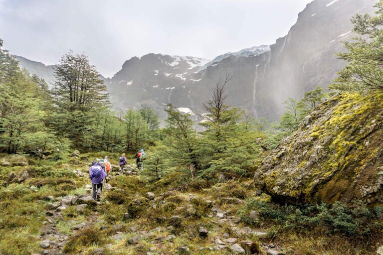 Hikers walk down a trail in the mist in a forest in the mountains