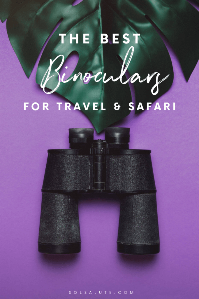The 10 Best Binoculars for Safari & Game Viewing [2024 Edition]