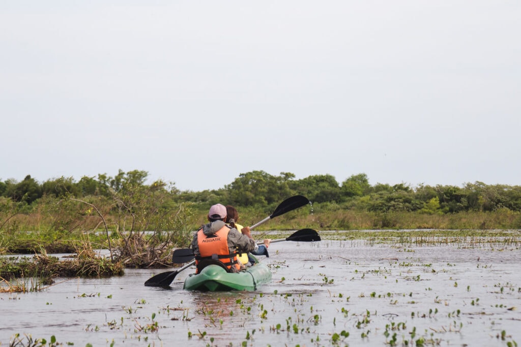 A man and woman paddle a kayak through the waters of the wetlands