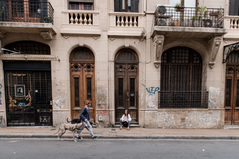 A woman walking two greyhound dogs