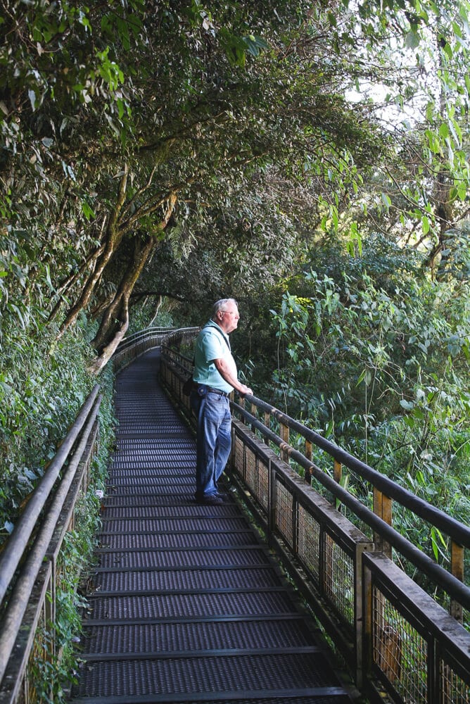 A man stands on a metal pathway in the jungle