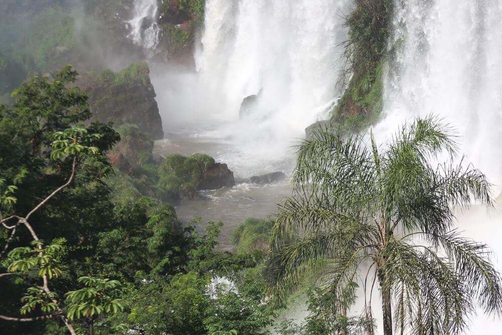 Waterfalls crash into a river in front of palm trees