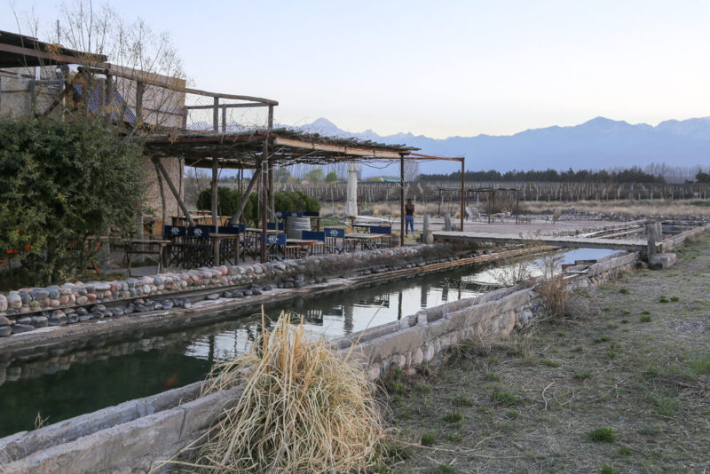 Tables and chairs on an outdoor patio at a vineyard