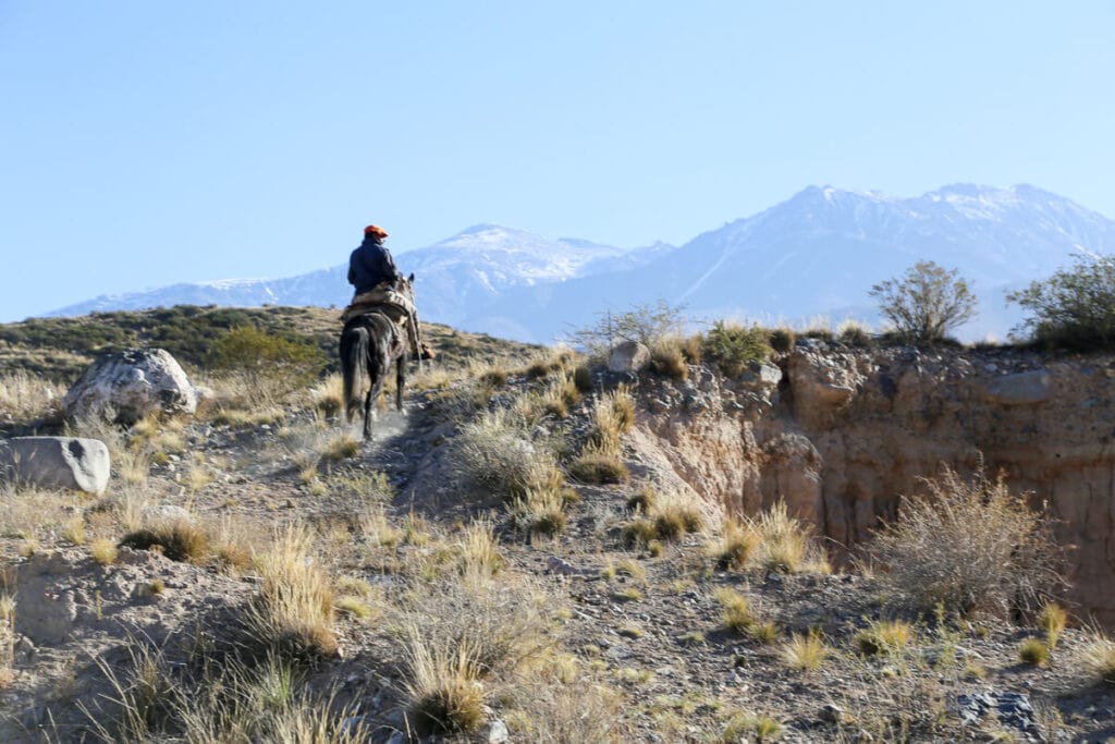 A man on horseback ascends a mountain