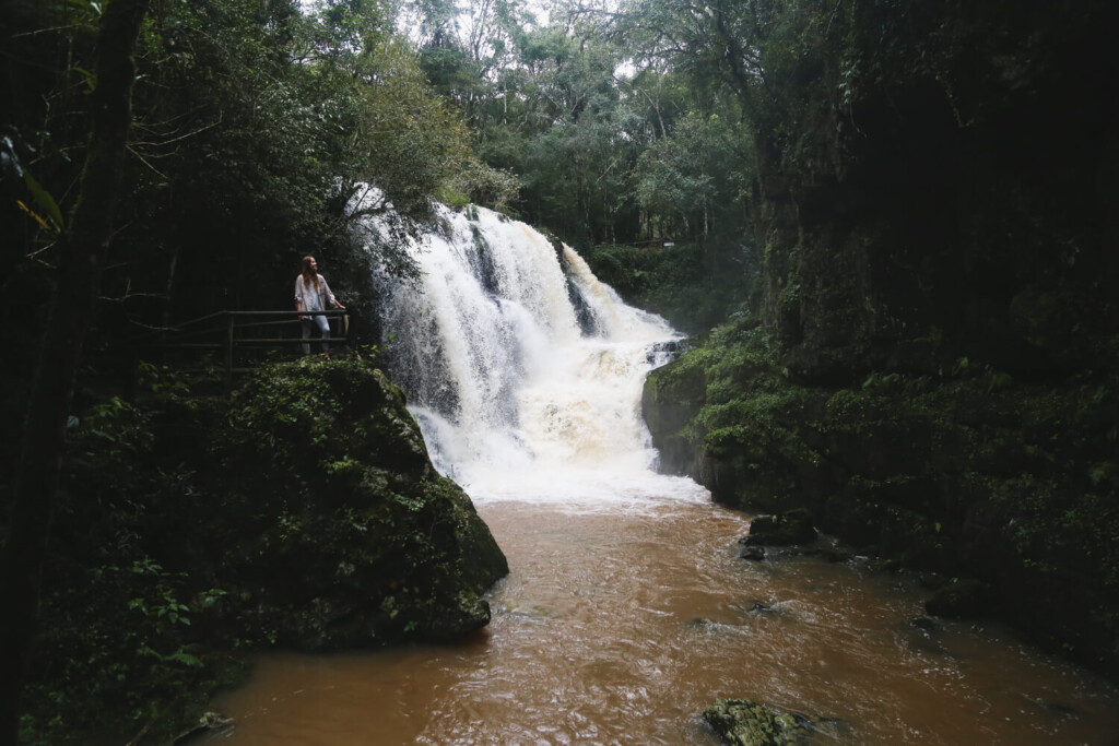 A woman stands in front of a waterfall in the jungle