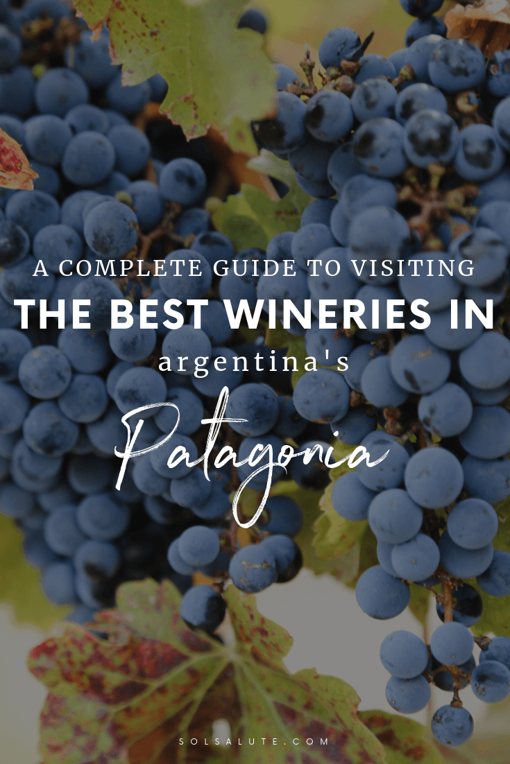 The Best Patagonia Wineries in Neuquen's Unexpected Wine Region
