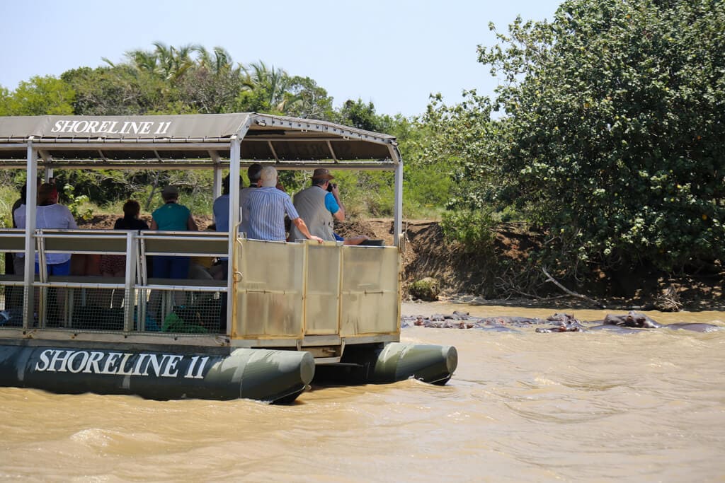 A boat with tourists on it floats near a pod of hippos