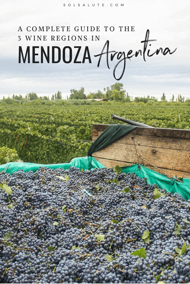 The Best Wineries in Mendoza A Guide to Wine Tasting in Mendoza