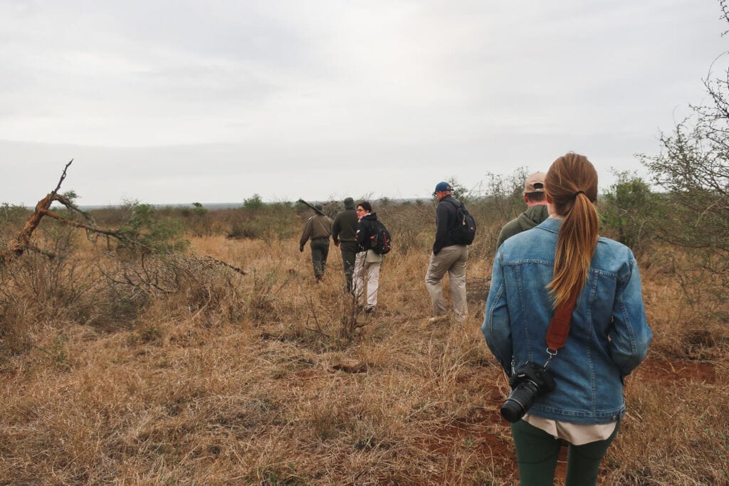 A line of people walk through the bush in South Africa