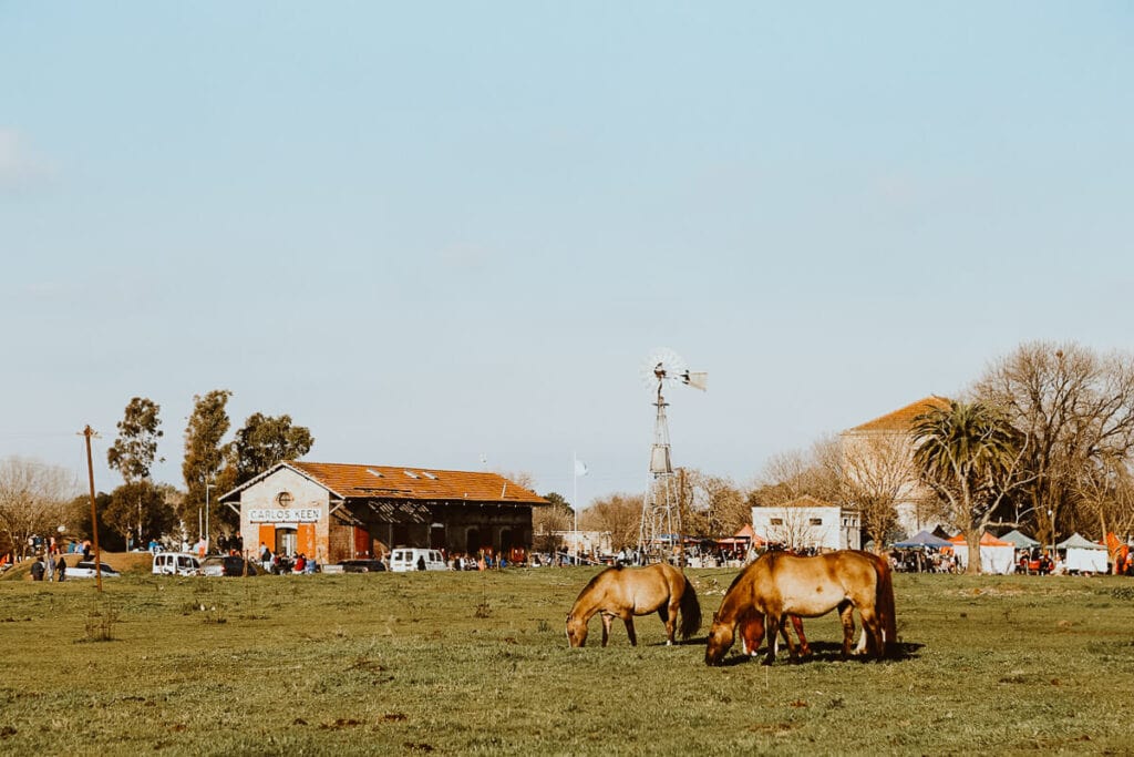 Horses graze in a field by a historic train station