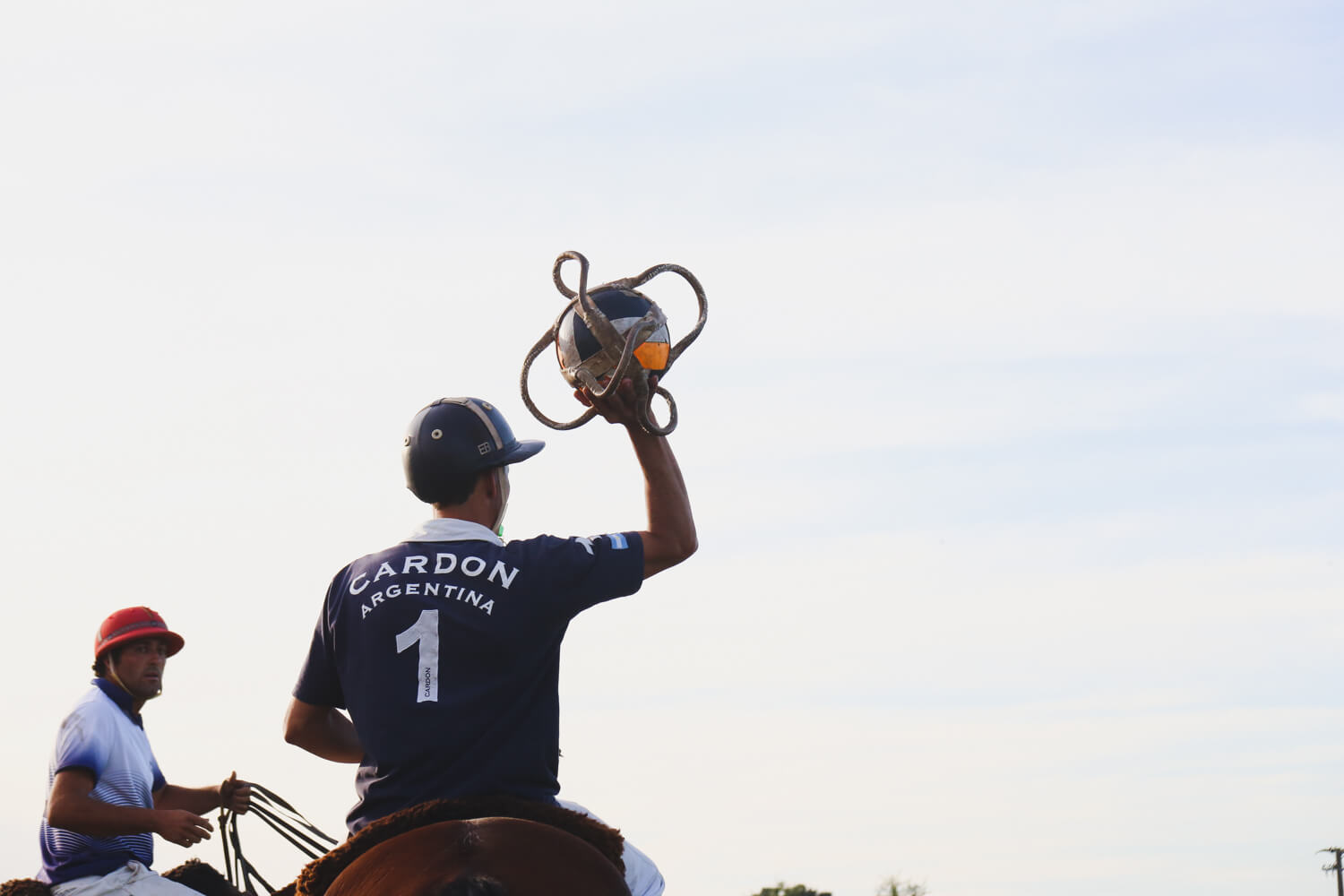 All About Pato Argentina's National Sport