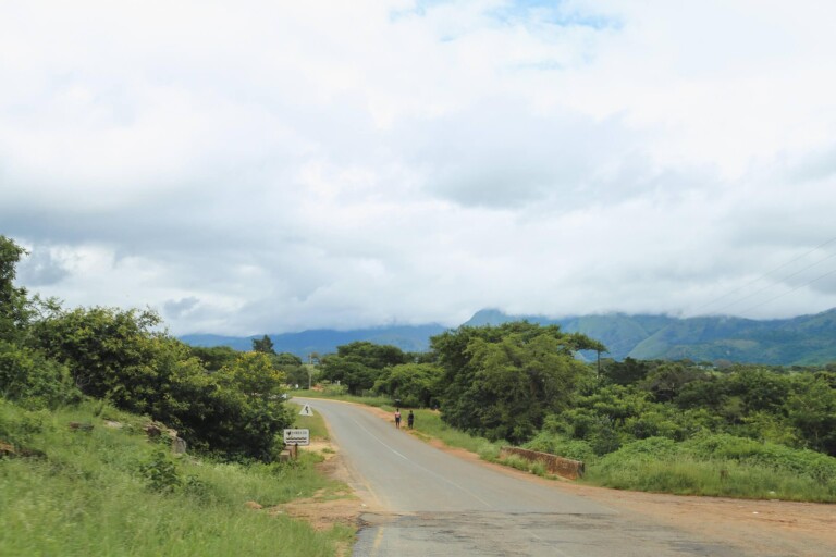 Spot Fines and Border Control: A Disastrous Day on the Road in South Africa