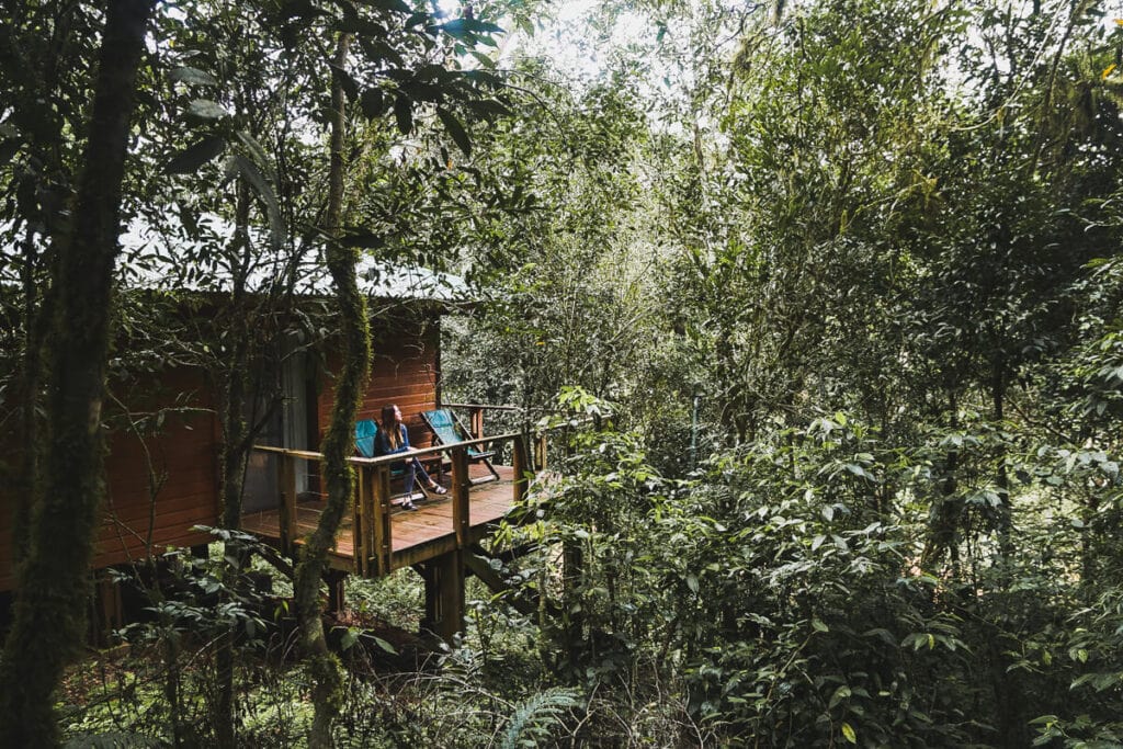 A woman sitting in a green chair on a deck in the middle of a jungle