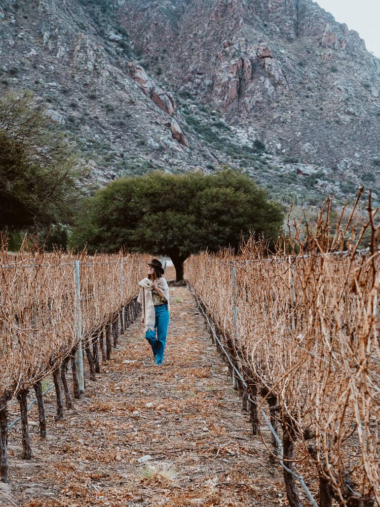 A woman walking down a row of vines in a vineyard