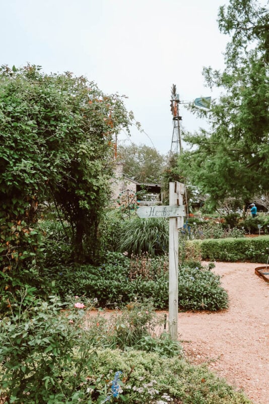 A dirt path weaves between gardens in an outdoor nursery