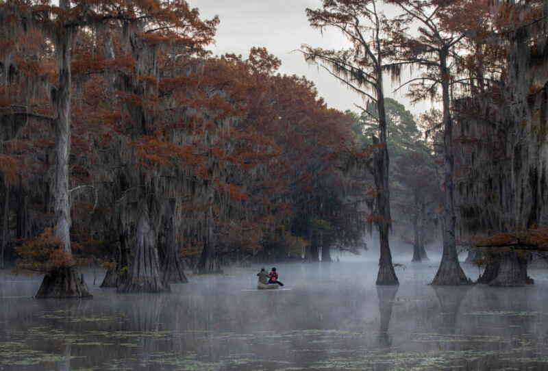 Two people kayak through a swamp