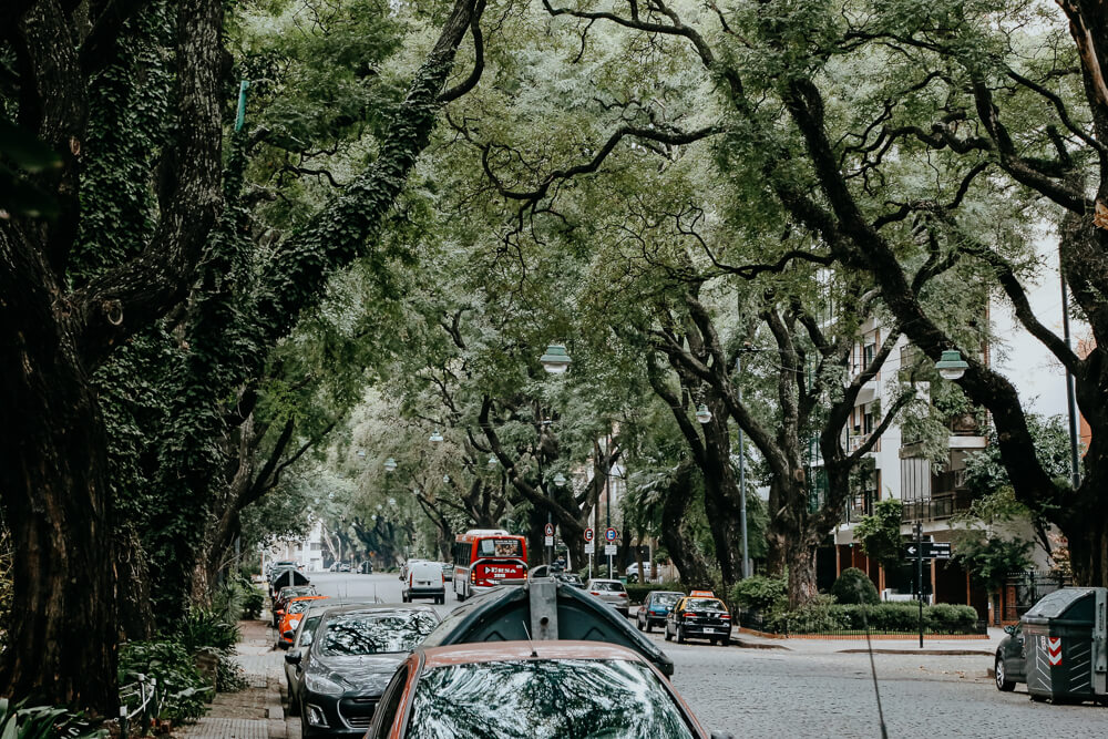 A red bus drives down a cobblestone street under a canopy of trees