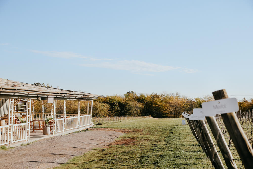 A vineyard and restaurant in the Argentine countryside