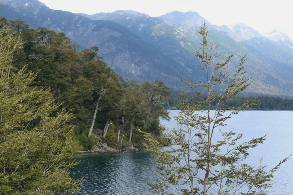 A deep blue lake seen through tree branches on the Ruta de los 7 Lagos