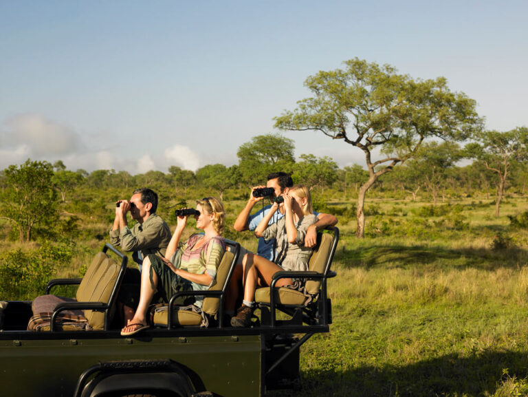 Two couples sit atop a safari truck with safari binoculars at their faces looking for game