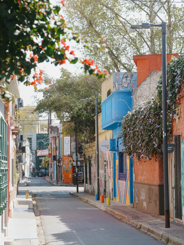 An alleyway covered in Street art in Buenos Aires