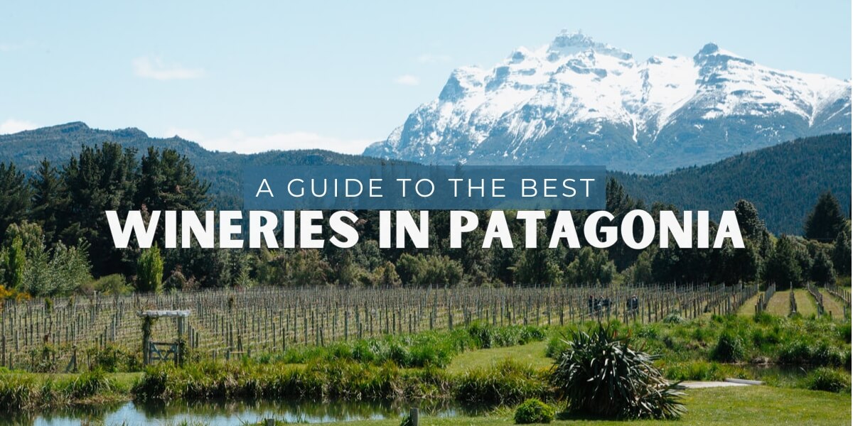 The Best Wineries in Patagonia
